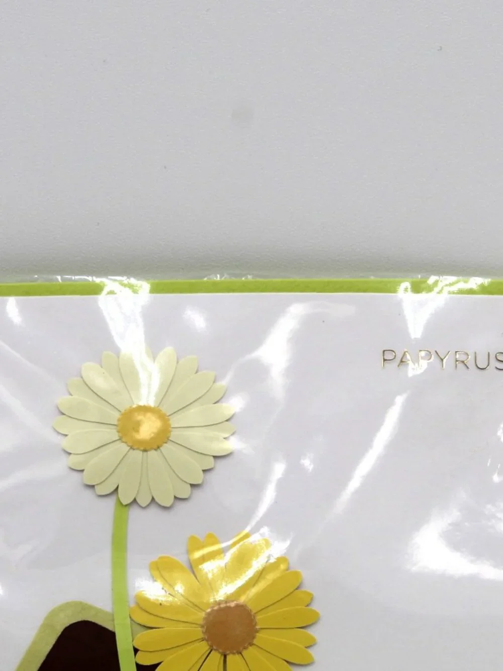 Beautiful Unique Special Flower Theme Birthday Greeting Card & Envelope Papyrus